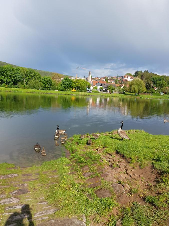 Ferienwohnung Im Springerhof Lohr Esterno foto