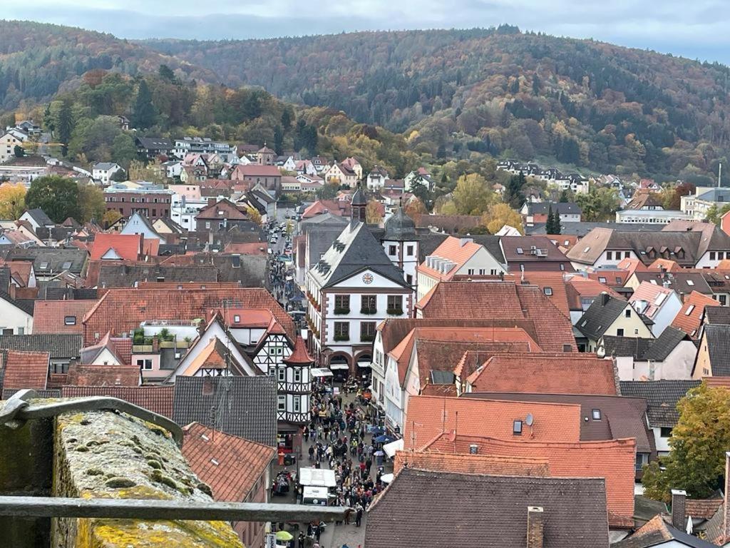 Ferienwohnung Im Springerhof Lohr Esterno foto