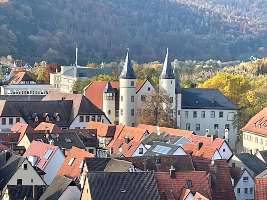 Ferienwohnung Im Springerhof Lohr Esterno foto