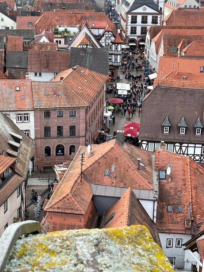 Ferienwohnung Im Springerhof Lohr Esterno foto